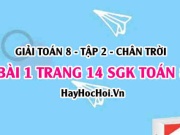 Bài 1 trang 14 Toán 8 Tập 2 Chân trời sáng tạo: Hệ Trục...